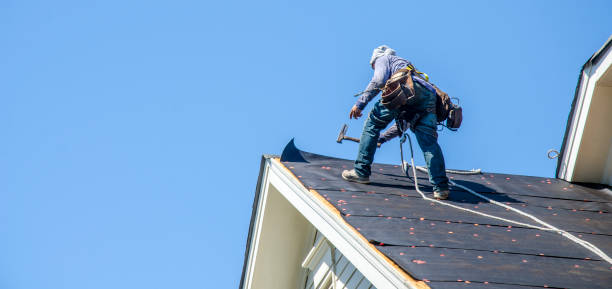 Best Metal Roofing Contractor  in Angustura, NM